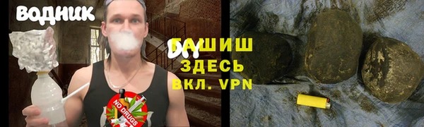 индика Киров