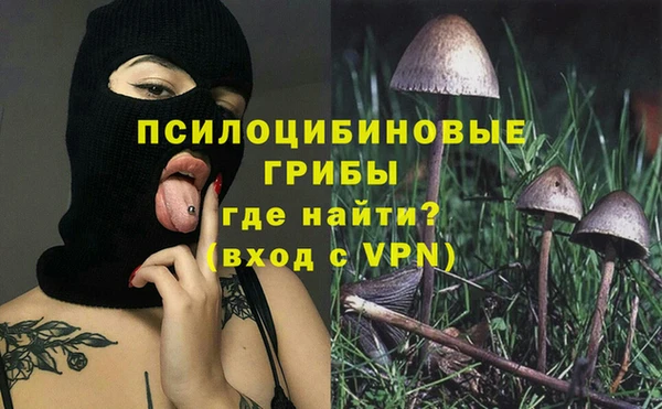 тгк Корсаков