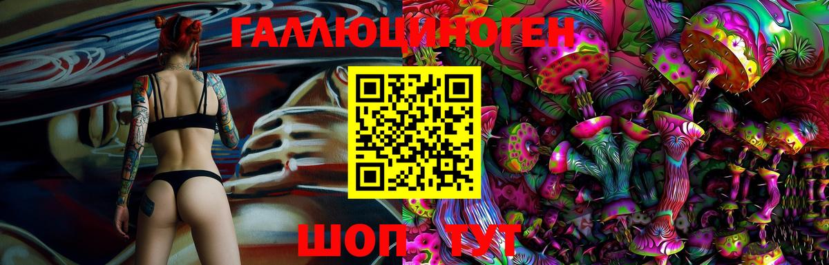 Новочеркасск  Галлюциногенные грибы прущие грибы  Вход с VPN 